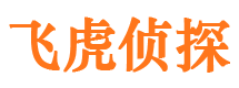 临城市婚外情调查